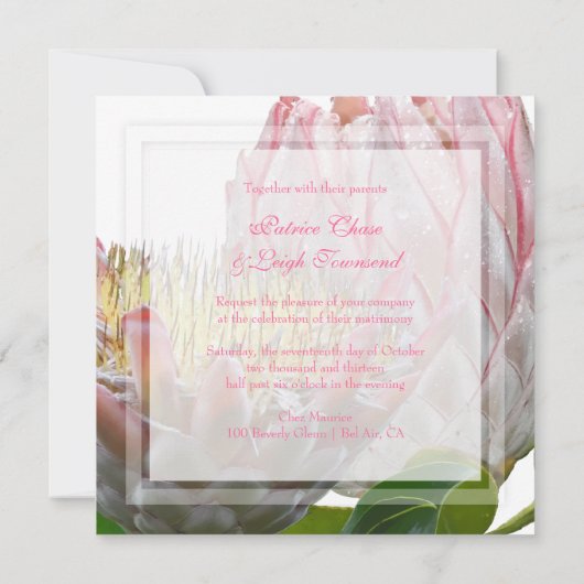 PixDezines verse maui protea bleek roze/dij Kaart (Achterkant)