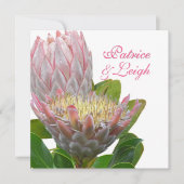 PixDezines verse maui protea bleek roze/dij Kaart (Voorkant)