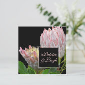 PixDezines verse roze maui king protea Kaart (Staand voorkant)