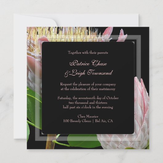 PixDezines verse roze maui king protea Kaart (Achterkant)