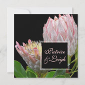 PixDezines verse roze maui king protea Kaart (Voorkant)