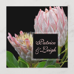 PixDezines verse roze maui king protea Kaart