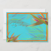 PixDezines Vogel van Paradise/DIY achtergrondkleur Kaart (Achterkant)