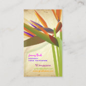 PixDezines  vogel van paradise ♥ ♥ Visitekaartje (Achterkant)