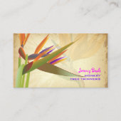 PixDezines  vogel van paradise ♥ ♥ Visitekaartje (Voorkant)