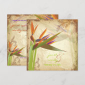 PixDezines VOGELS VAN PARADISE Kaart (Voorkant / Achterkant)