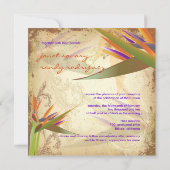 PixDezines VOGELS VAN PARADISE Kaart (Achterkant)