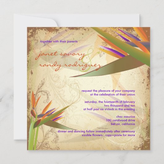 PixDezines VOGELS VAN PARADISE Kaart (Achterkant)