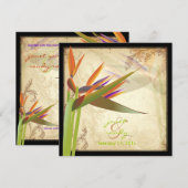 PixDezines  VOGELS VAN PARADISE Kaart (Voorkant / Achterkant)