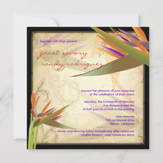 PixDezines  VOGELS VAN PARADISE Kaart (Achterkant)