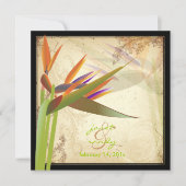 PixDezines  VOGELS VAN PARADISE Kaart (Voorkant)