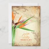 PixDezines  VOGELS VAN PARADISE Kaart (Voorkant)