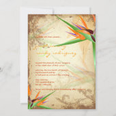 PixDezines VOGELS VAN PARADISE Kaart (Achterkant)