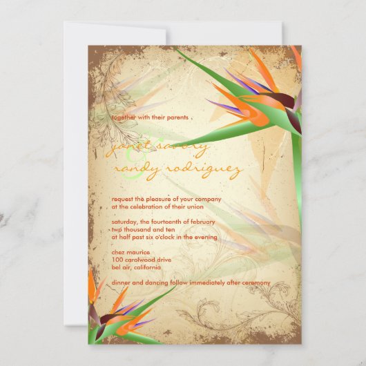 PixDezines  VOGELS VAN PARADISE Kaart (Achterkant)