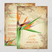 PixDezines VOGELS VAN PARADISE Kaart (Voorkant / Achterkant)