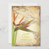 PixDezines  VOGELS VAN PARADISE Kaart (Voorkant)