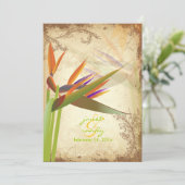 PixDezines  VOGELS VAN PARADISE Kaart (Staand voorkant)