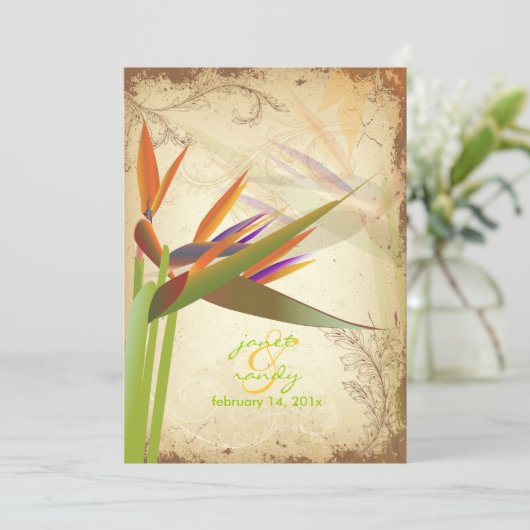 PixDezines  VOGELS VAN PARADISE Kaart (Staand voorkant)