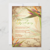 PixDezines  VOGELS VAN PARADISE Kaart (Achterkant)