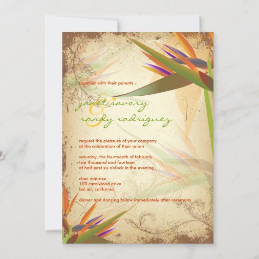 PixDezines VOGELS VAN PARADISE Kaart (Achterkant)