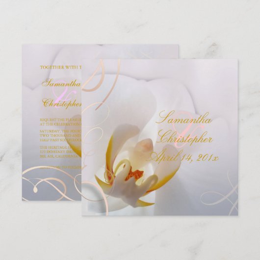 PixDezines White Orchid | Bleek roze + wit Kaart (Voorkant / Achterkant)