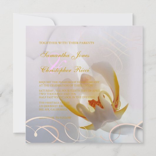 PixDezines White Orchid | Bleek roze + wit Kaart (Achterkant)