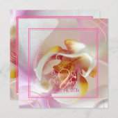 PixDezines White Orchid | Bleek roze + wit Kaart (Voorkant / Achterkant)
