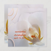 PixDezines White Orchid | Bleek roze + wit Kaart (Voorkant / Achterkant)