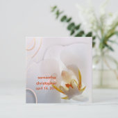 PixDezines White Orchid | Bleek roze + wit Kaart (Staand voorkant)