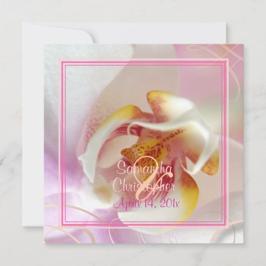 PixDezines White Orchid | Bleek roze + wit Kaart (Voorkant)
