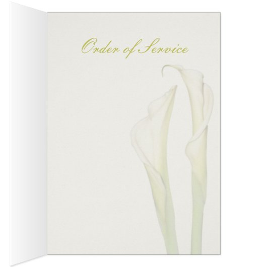 PixDezines witte calla lilies/diy background (Binnen (Rechts))