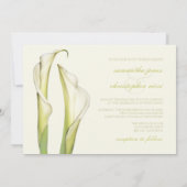 PixDezines witte calla lilies/diy background Kaart (Achterkant)