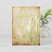 PixDezines Witte Calla lilies Kaart (Staand voorkant)