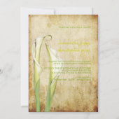 PixDezines Witte Calla lilies Kaart (Achterkant)