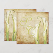 PixDezines  Witte Calla lilies Kaart (Voorkant / Achterkant)