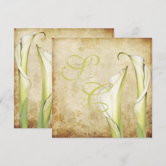 PixDezines  Witte Calla lilies Kaart (Voorkant / Achterkant)