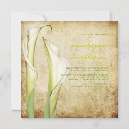 PixDezines  Witte Calla lilies Kaart (Achterkant)