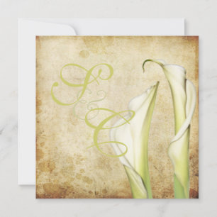 PixDezines  Witte Calla lilies Kaart