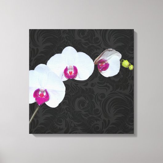 PixDezines Witte Orchidee/DIY Achtergrondkleur Canvas Afdruk (Voorkant)