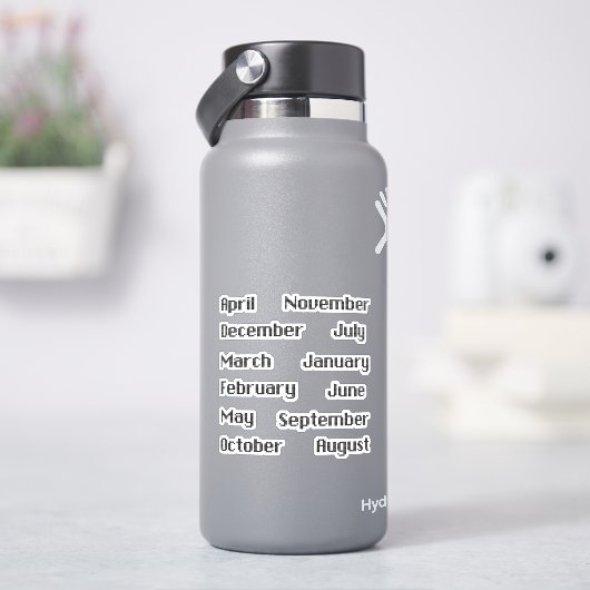 Pixelige Maanden Van Het Jaar Z/W Sticker Set (HydroFlask)