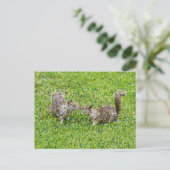 Pixelkunst - Twee eekhoorns Briefkaart (Staand voorkant)