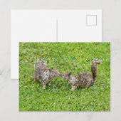 Pixelkunst - Twee eekhoorns Briefkaart (Voorkant / Achterkant)