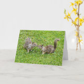 Pixelkunst - Twee eekhoorns Kaart (Gele Bloem)