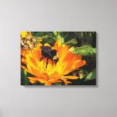 Pixerstick Sticker - Calendula en bij Canvas Afdruk (Voorkant)