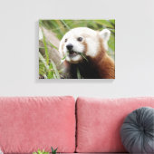 Pixerstick Sticker Foto rode panda, dieren 0172. Canvas Afdruk (Insitu (Woonkamer))