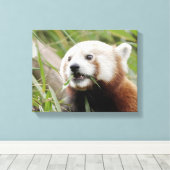 Pixerstick Sticker Foto rode panda, dieren 0172. Canvas Afdruk (Insitu (Houten vloer))