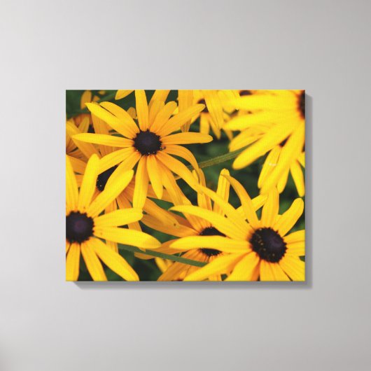 Pixerstick Sticker Zwart-ogige Susans Canvas Afdruk (Voorkant)