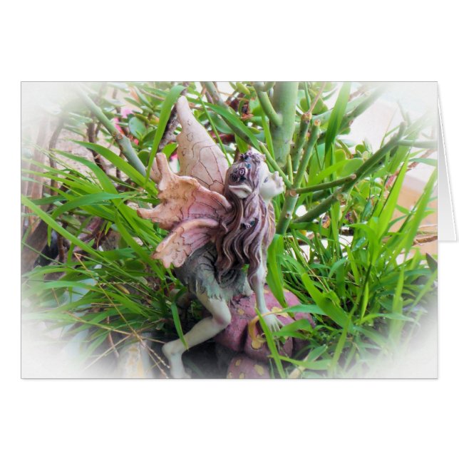 Pixie (Voorkant Horizontaal)