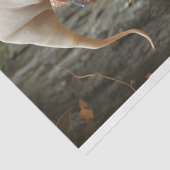 Pixie Beige Pet Mirror op het rechter weefselpapie Tissuepapier (Detail)