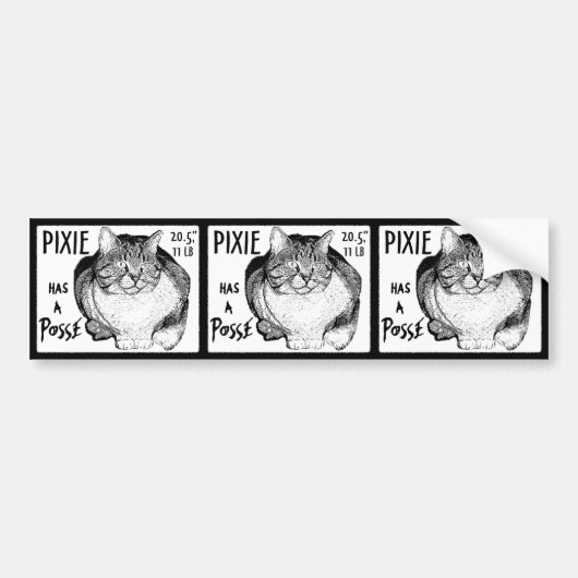 Pixie heeft een Posteringssticker set Bumpersticker (Voorkant)